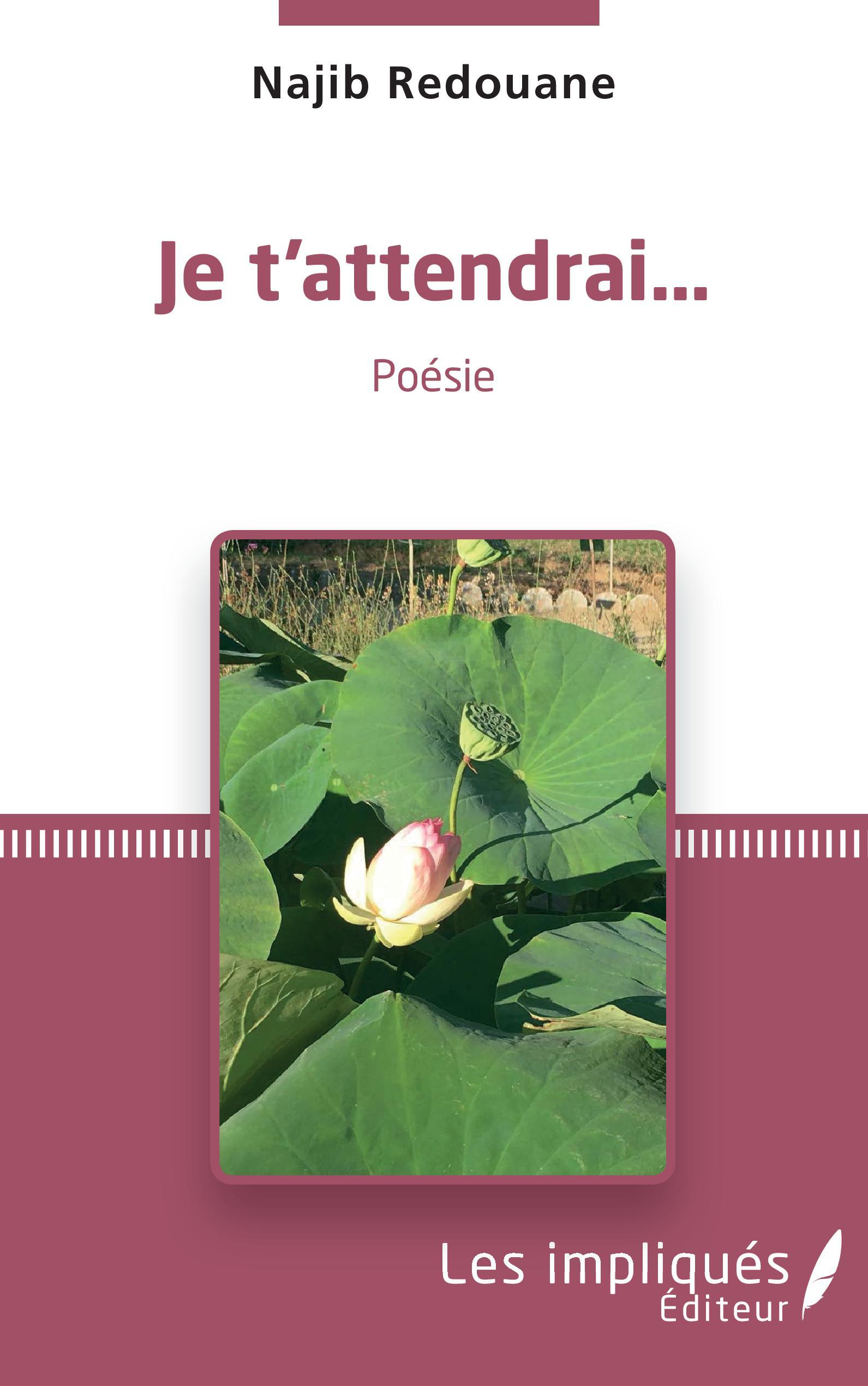 Je t'attendrai..., Poésie (9782343232706-front-cover)