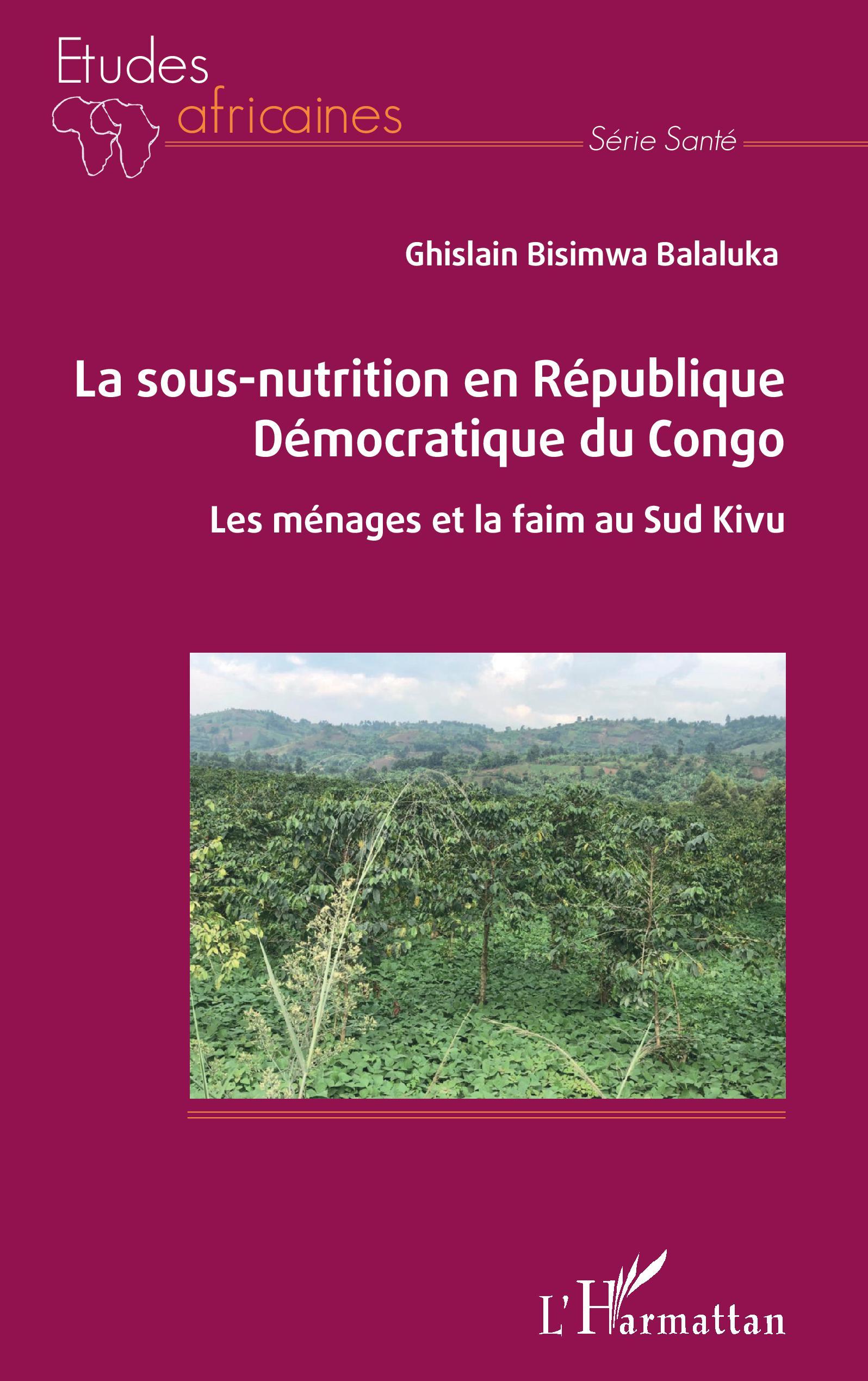 La sous-nutrition en République Démocratique du Congo, Les ménages et la faim au Sud Kivu (9782343232102-front-cover)