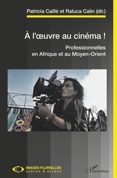 A l'oeuvre au cinéma !, Professionnelles en Afrique et au Moyen-Orient (9782343253978-front-cover)