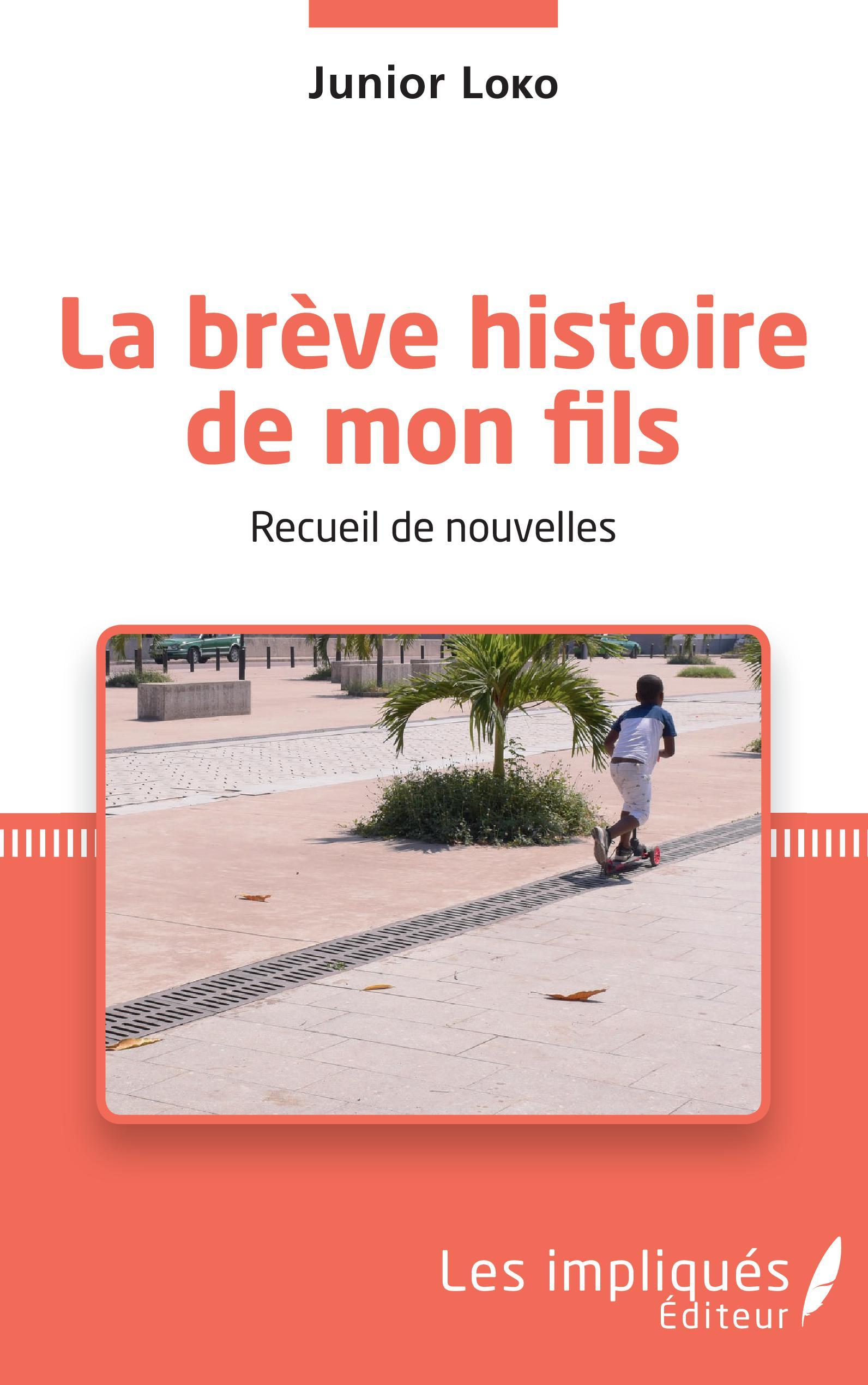 La brève histoire de mon fils. Recueil de nouvelles (9782343233178-front-cover)