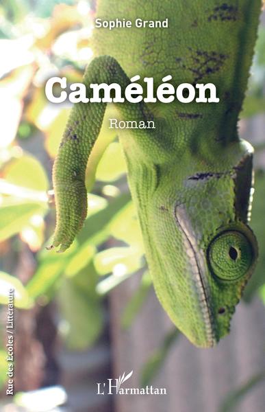 Caméléon, Roman (9782343234052-front-cover)