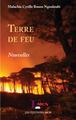 Terre de feu. Nouvelles (9782343210698-front-cover)