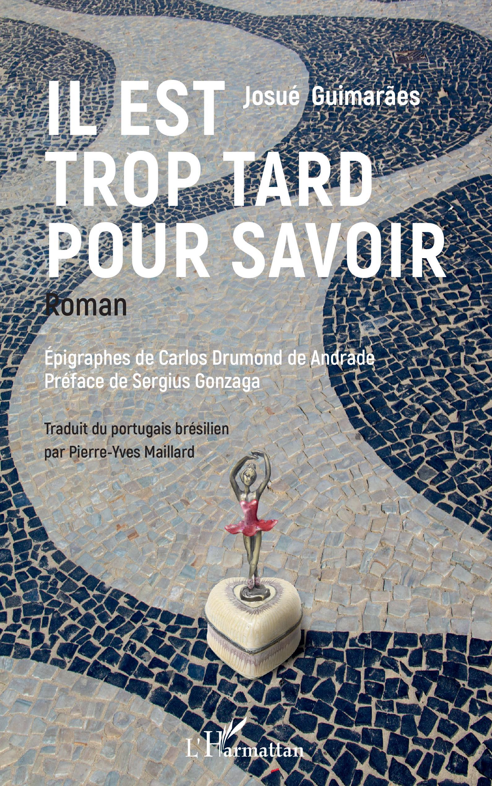 Il est trop tard pour savoir, Roman (9782343245218-front-cover)