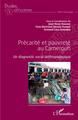 Précarité et pauvreté au Cameroun, Un diagnostic socio-anthropologique (9782343237398-front-cover)