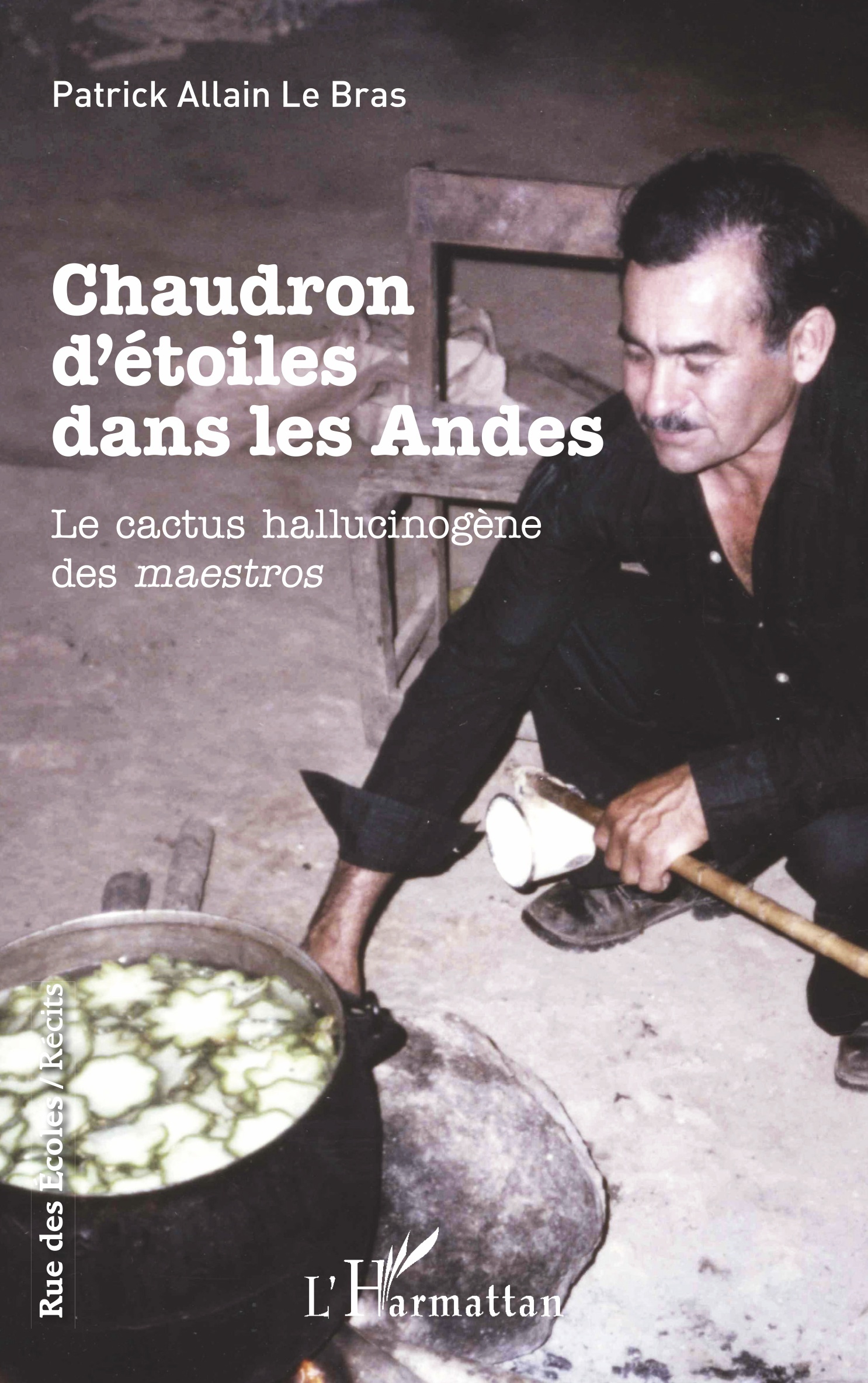 Chaudron d'étoiles dans les Andes, Le cactus hallucinogène des maestros (9782343203041-front-cover)