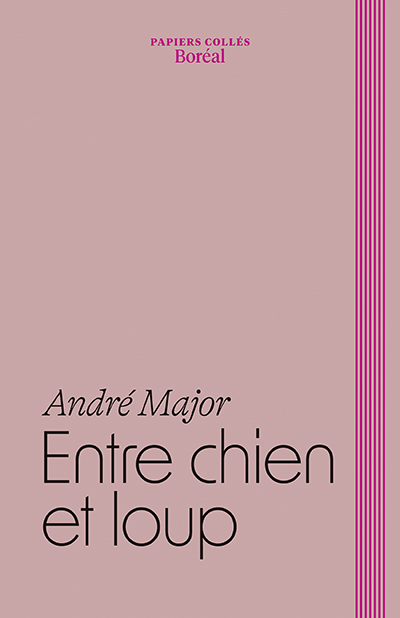 Entre chien et loup, Carnets 2008-2014 (9782764628805-front-cover)