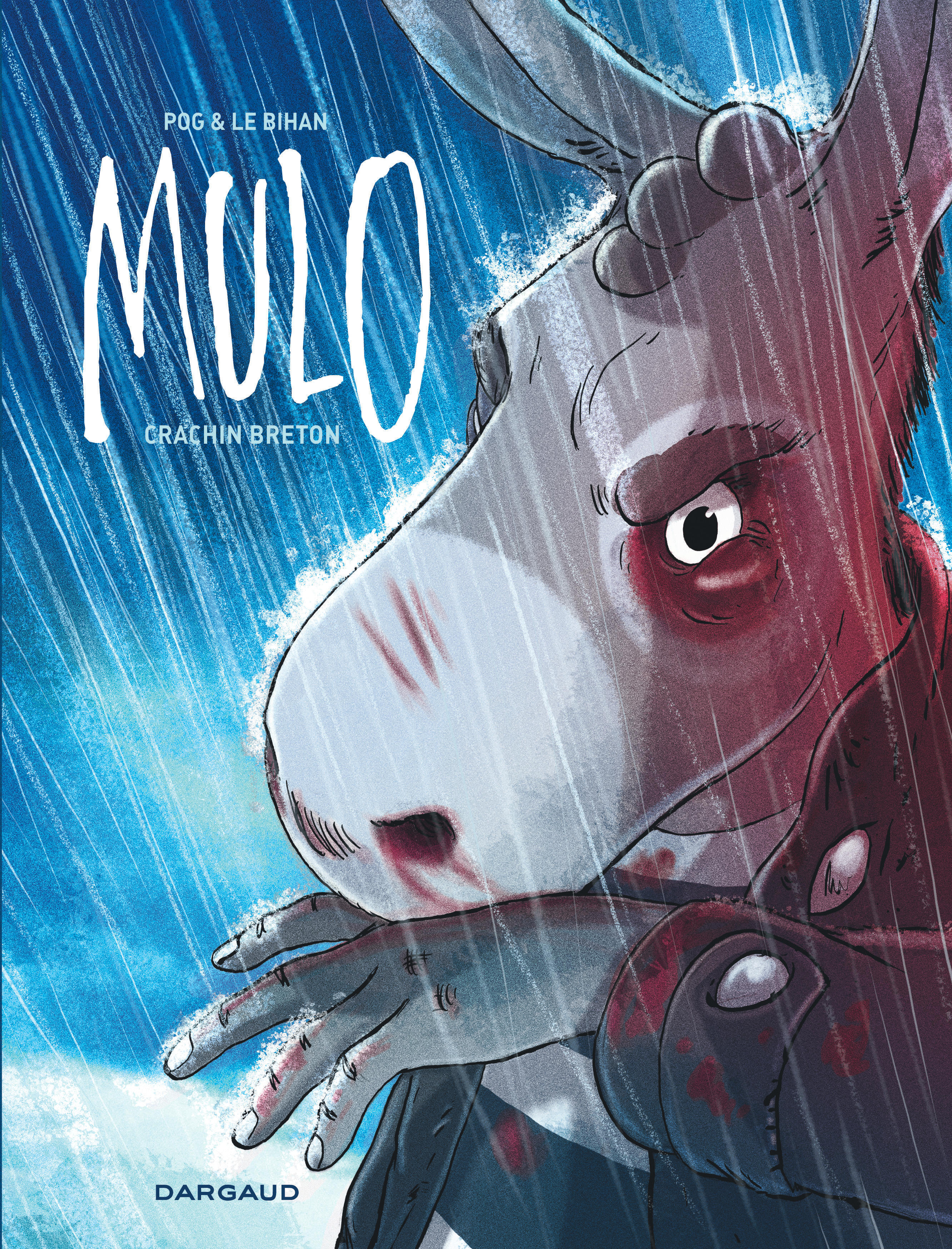 Mulo - Tome 1 - Crachin breton (9782205075977-front-cover)