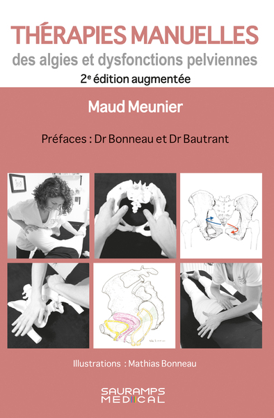Thérapies manuelles des algies et dysfonctions pelviennes 2ed (9791030305166-front-cover)