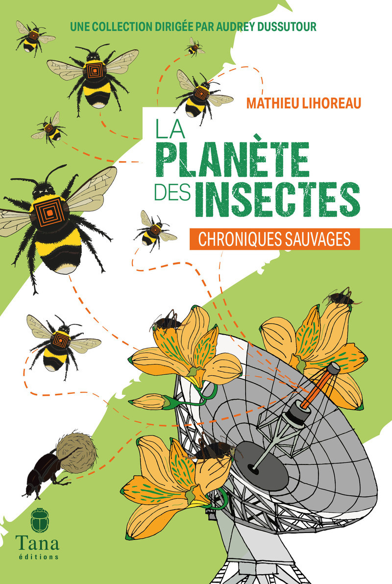 La Planète des insectes (9791030105797-front-cover)