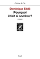 Pourquoi il fait si sombre ? (9782020350426-front-cover)