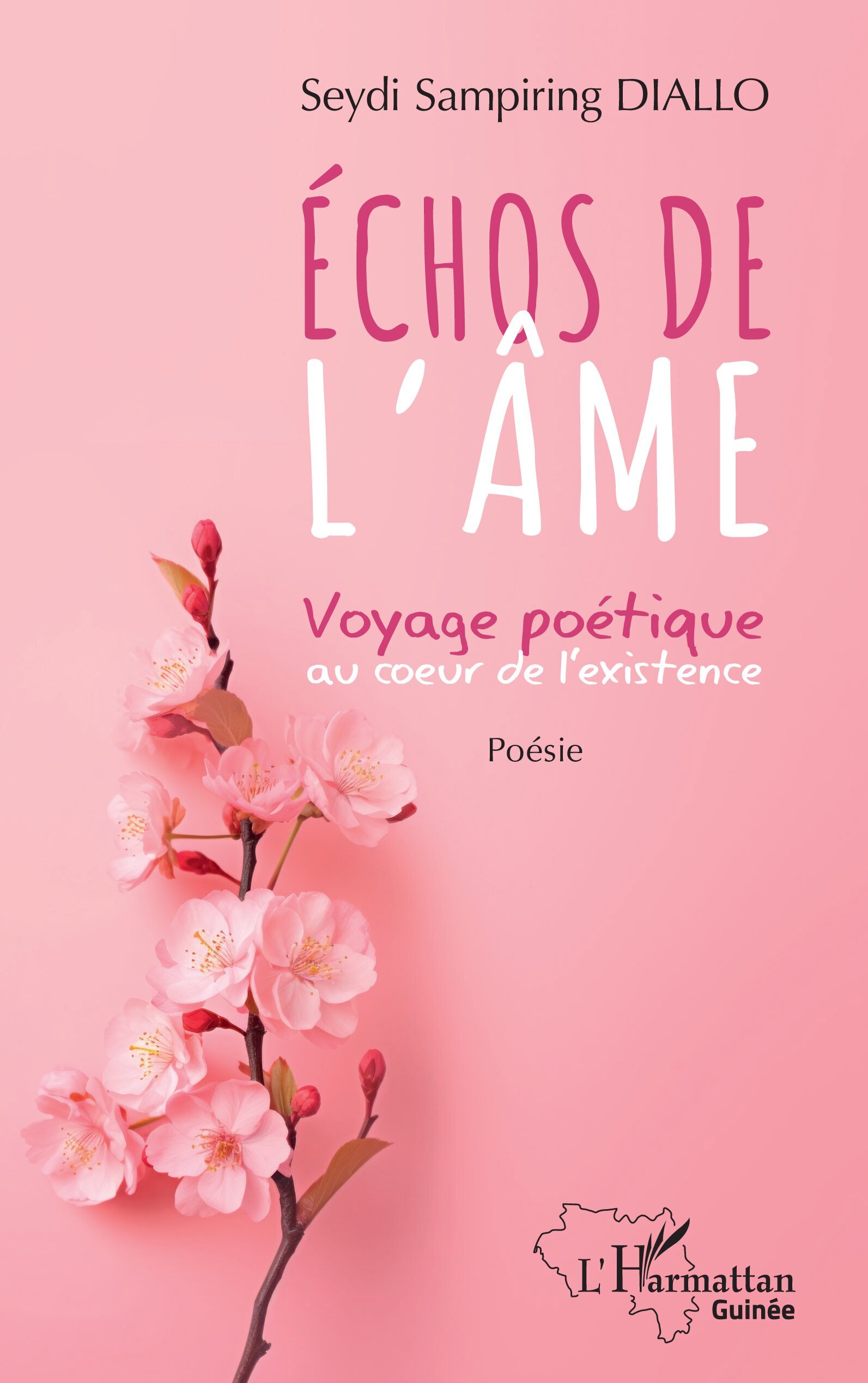 Échos de l'âme, Voyage poétique au coeur de l'existence (9782336479941-front-cover)