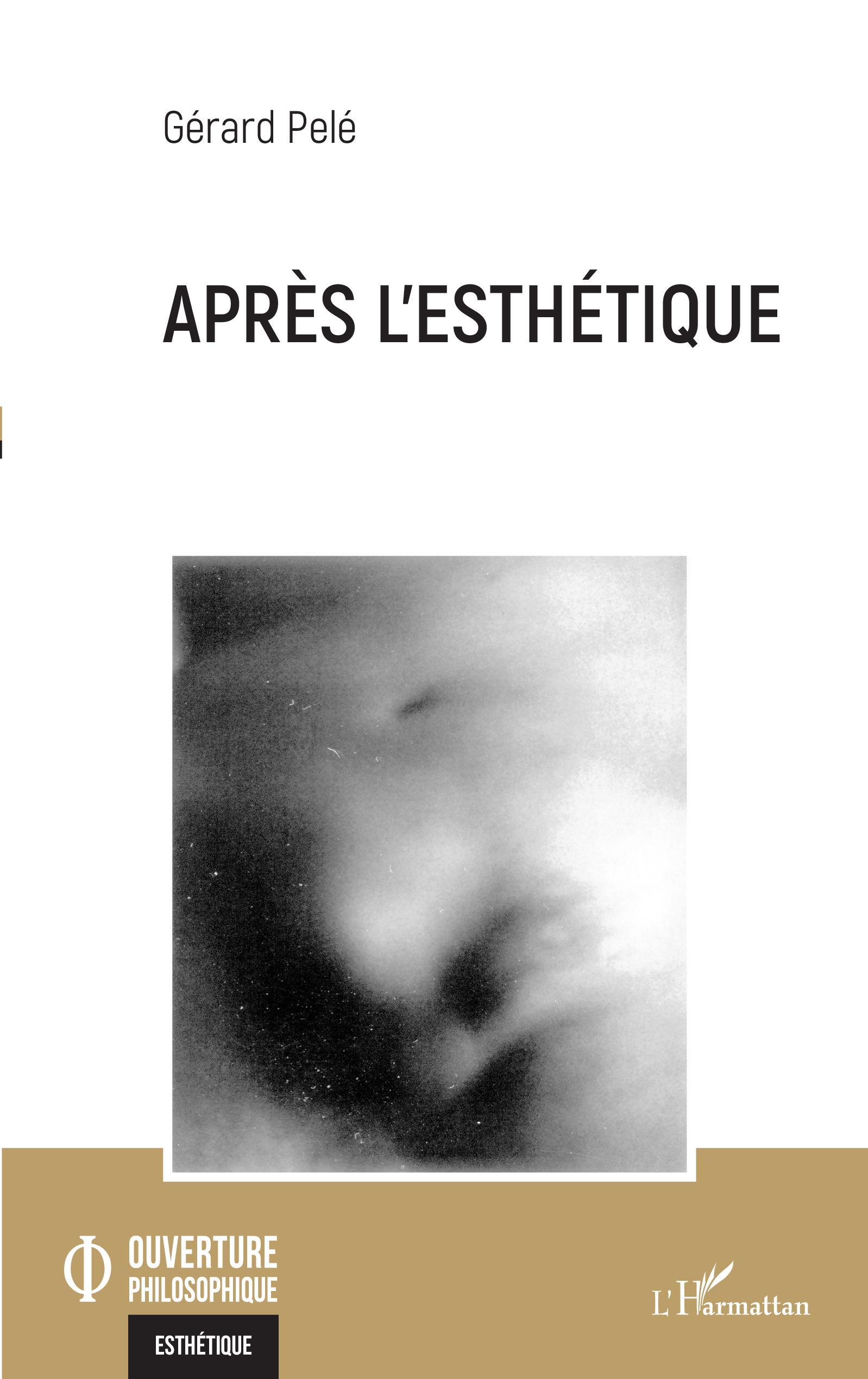 Après l'esthétique (9782336407654-front-cover)