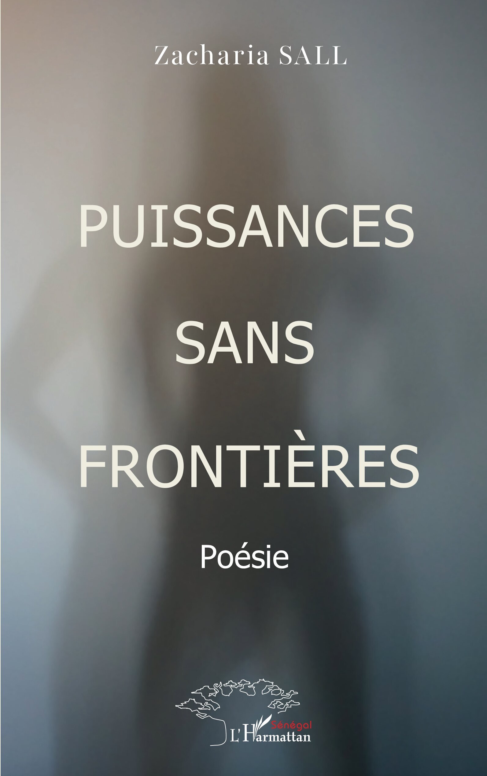 Puissances sans frontières (9782336492162-front-cover)