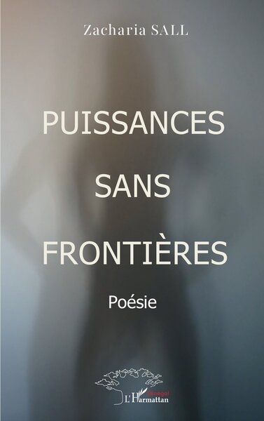 Puissances sans frontières (9782336492162-front-cover)