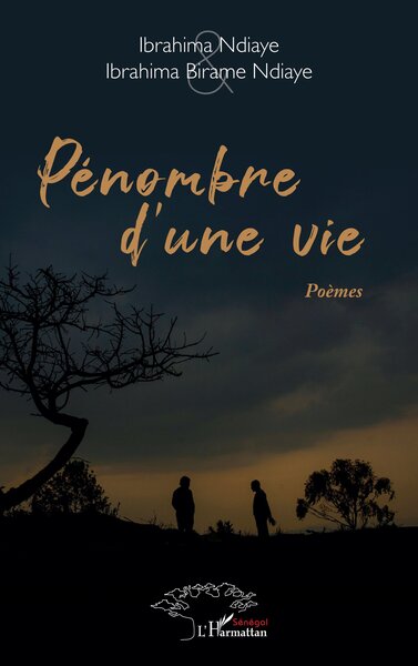 Pénombre d’une vie (9782336412399-front-cover)