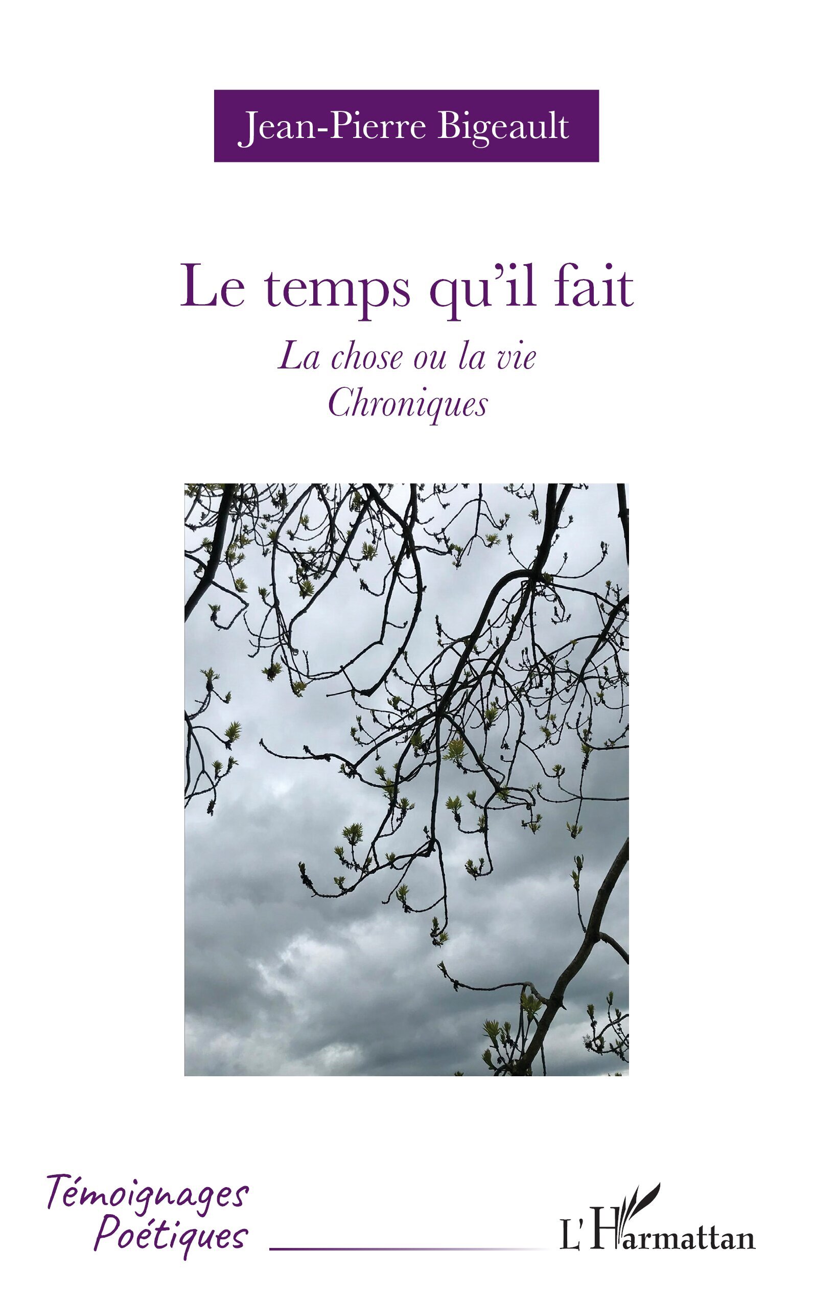 Le temps qu’il fait, La chose ou la vie - Chroniques (9782336464213-front-cover)