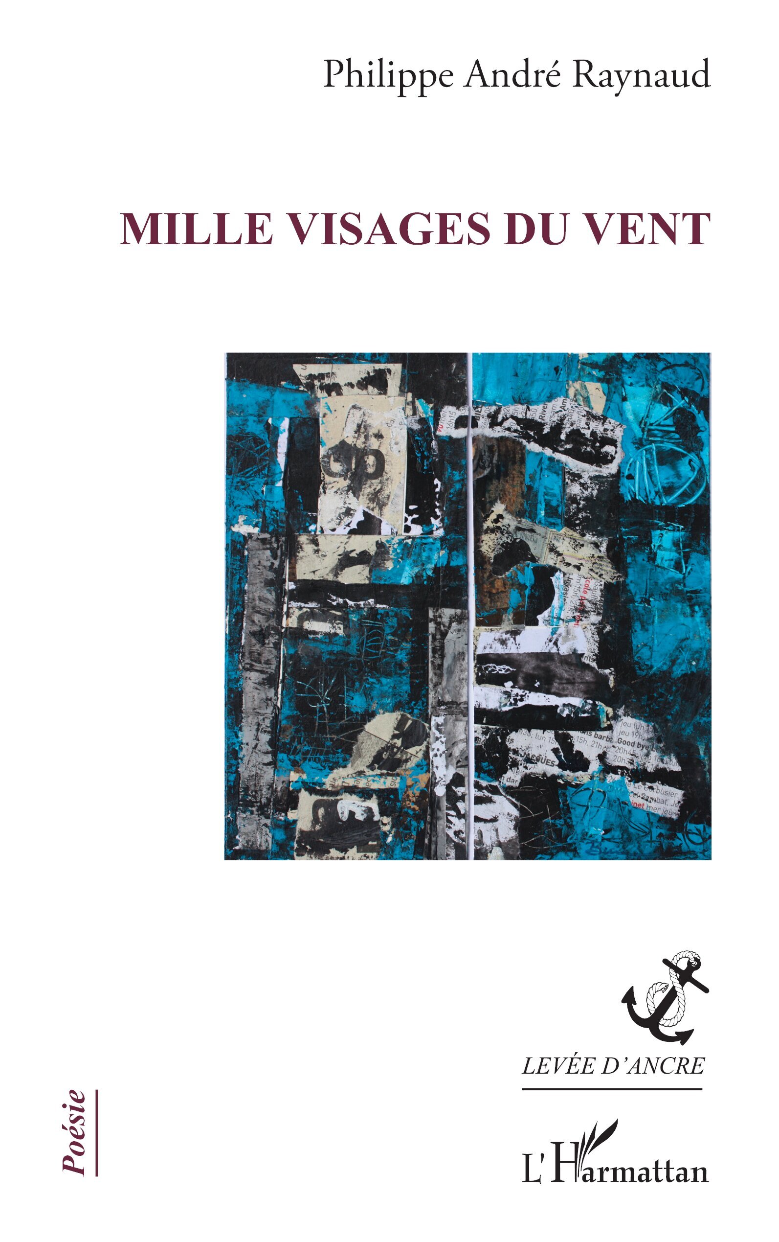 Mille visages du vent (9782336419718-front-cover)