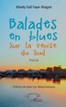 Balades en blues sur la Venise du Sud (9782336423289-front-cover)