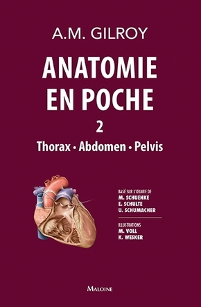 anatomie en poche vol 2, VOLUME 2 : THORAX - ABDOMEN - PELVIS (9782224035938-front-cover)