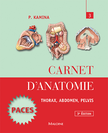carnet d'anatomie. t3 :  thorax, abdomen, pelvis,  3e ed. (9782224033804-front-cover)