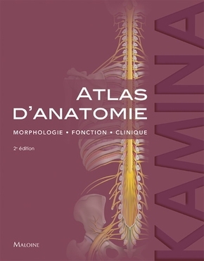 Atlas d'anatomie 2e ed, MORPHOLOGIE, FONCTION, CLINIQUE (9782224036393-front-cover)