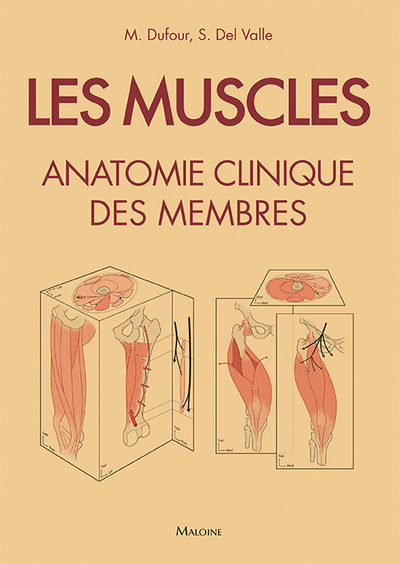Les muscles : anatomie clinique des membres (9782224034672-front-cover)