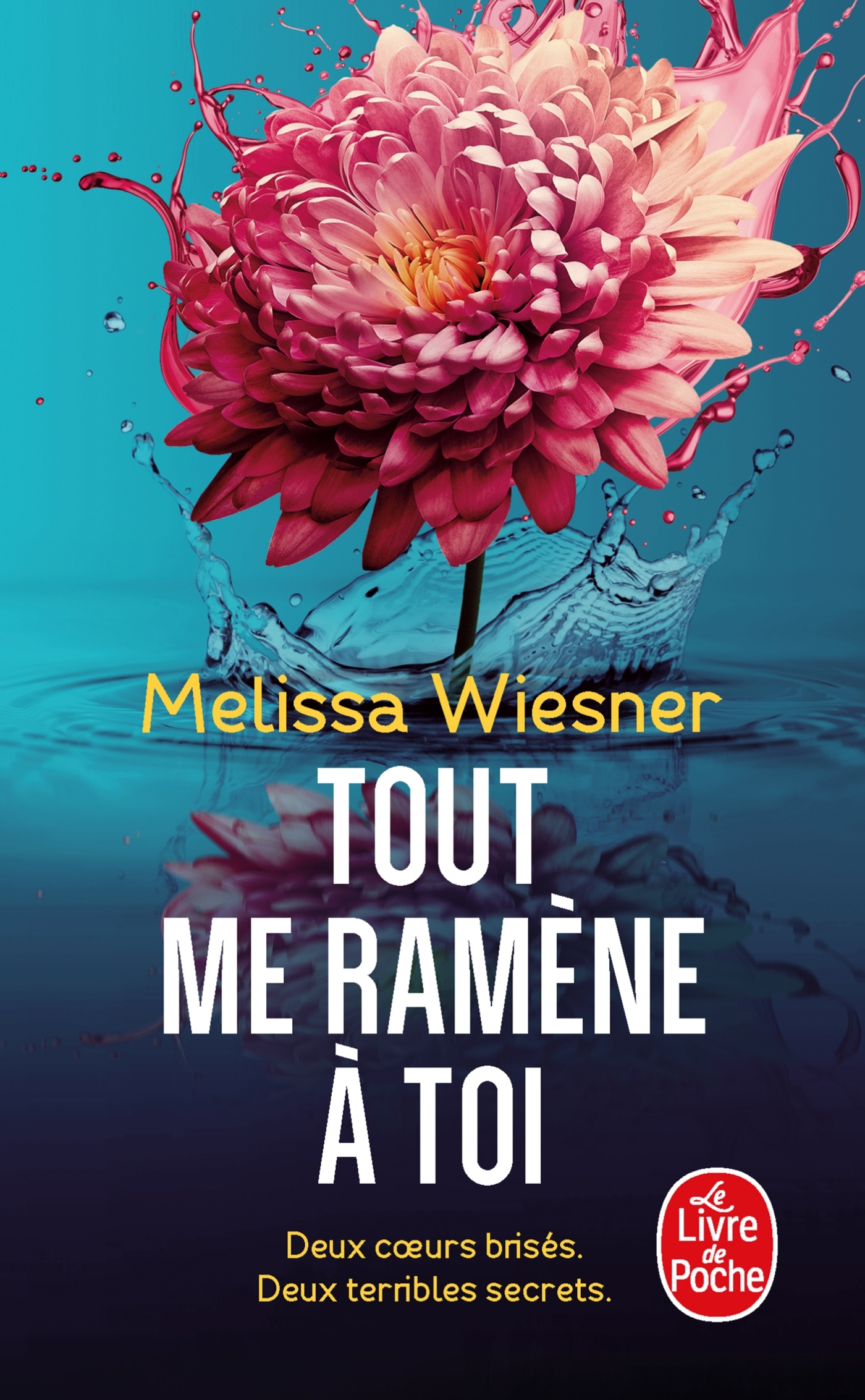 Tout me ramène à toi (9782253251958-front-cover)