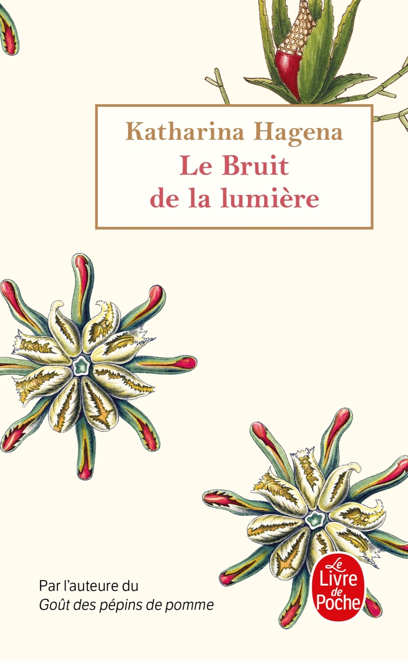 Le Bruit de la lumière (9782253259596-front-cover)