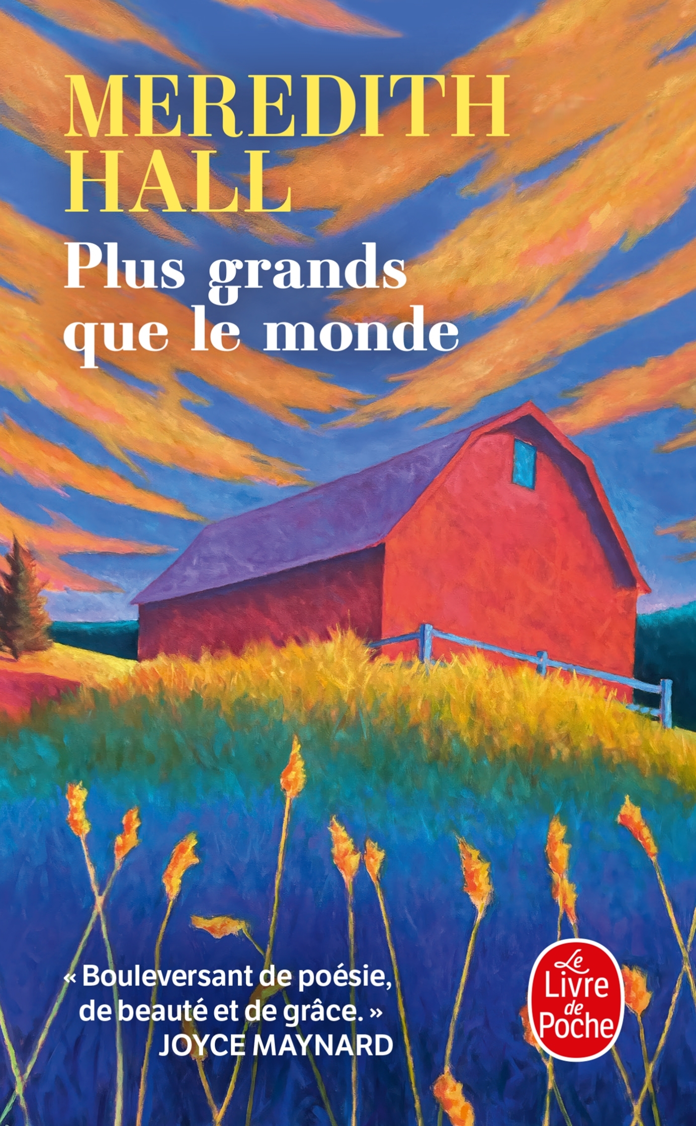 Plus grands que le monde (9782253251743-front-cover)