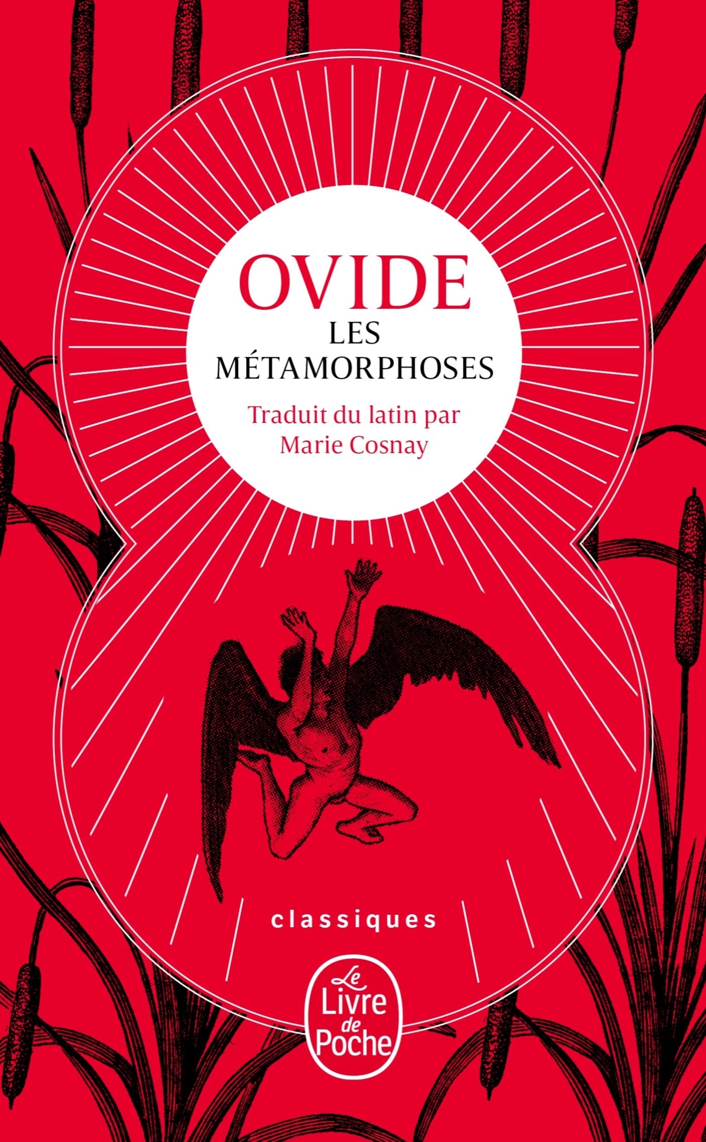Les Métamorphoses (Nouvelle traduction) (9782253240457-front-cover)