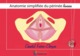 ANATOMIE SIMPLIFIEE DU PERINEE FEMININ (9782840237662-front-cover)