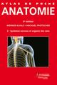 Atlas de poche Anatomie Volume 3 : Système nerveux et organes des sens (5 ° Éd.), Volume 3 : Systèmes nerveux et organes des sen (9782257205940-front-cover)