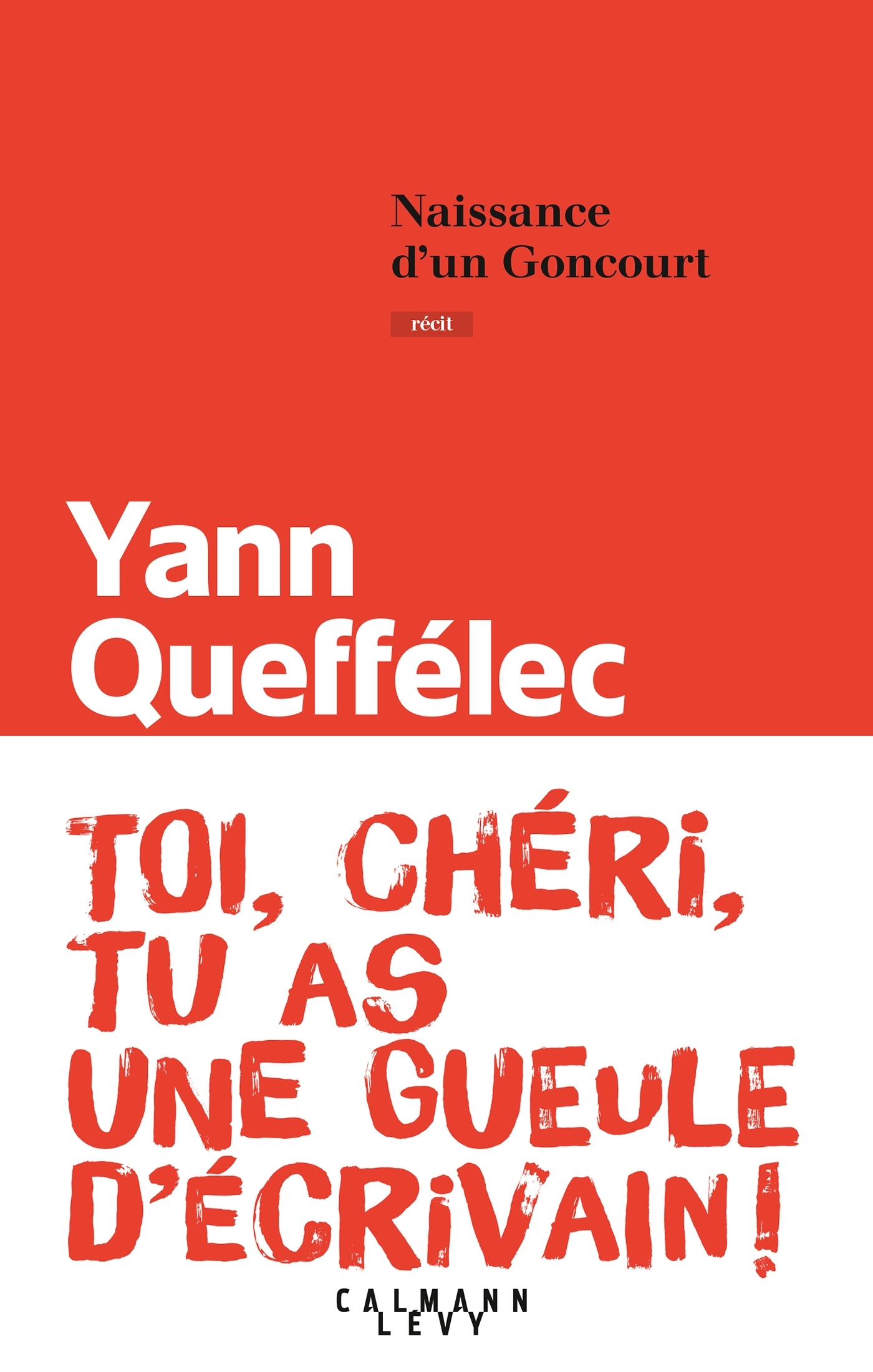 Naissance d'un Goncourt (9782702163276-front-cover)