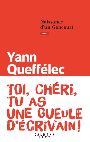 Naissance d'un Goncourt (9782702163276-front-cover)
