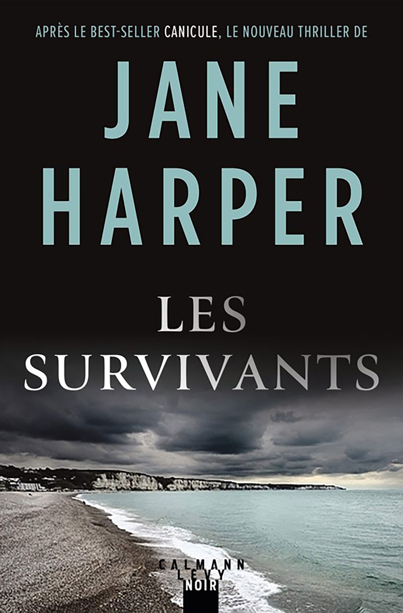 Les survivants (9782702182796-front-cover)