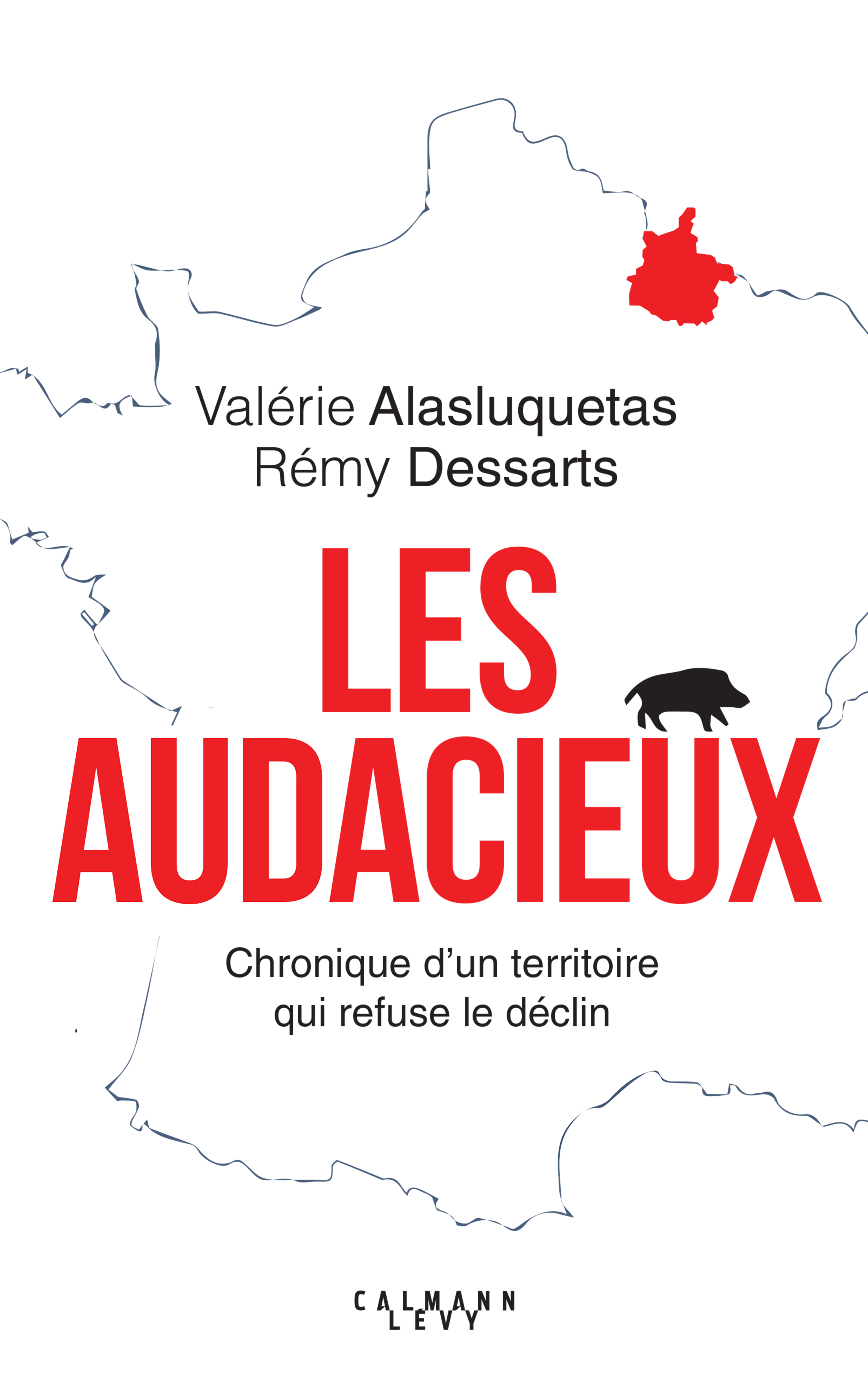 Les Audacieux, Chroniques d'un territoire qui refuse le déclin (9782702168899-front-cover)