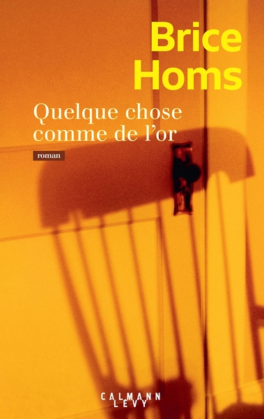 Quelque chose comme de l'or (9782702194447-front-cover)
