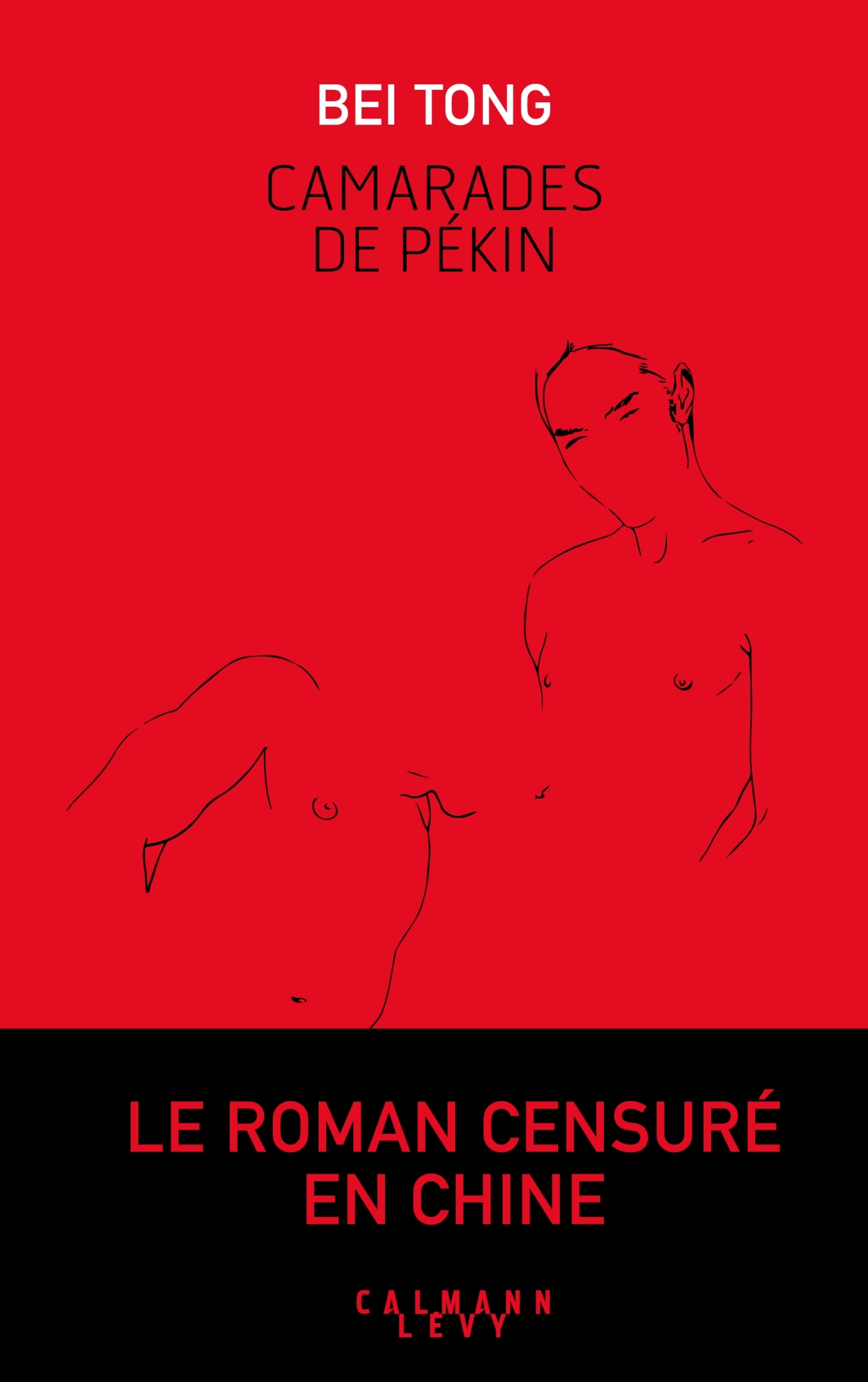 Camarades de Pekin (9782702160794-front-cover)