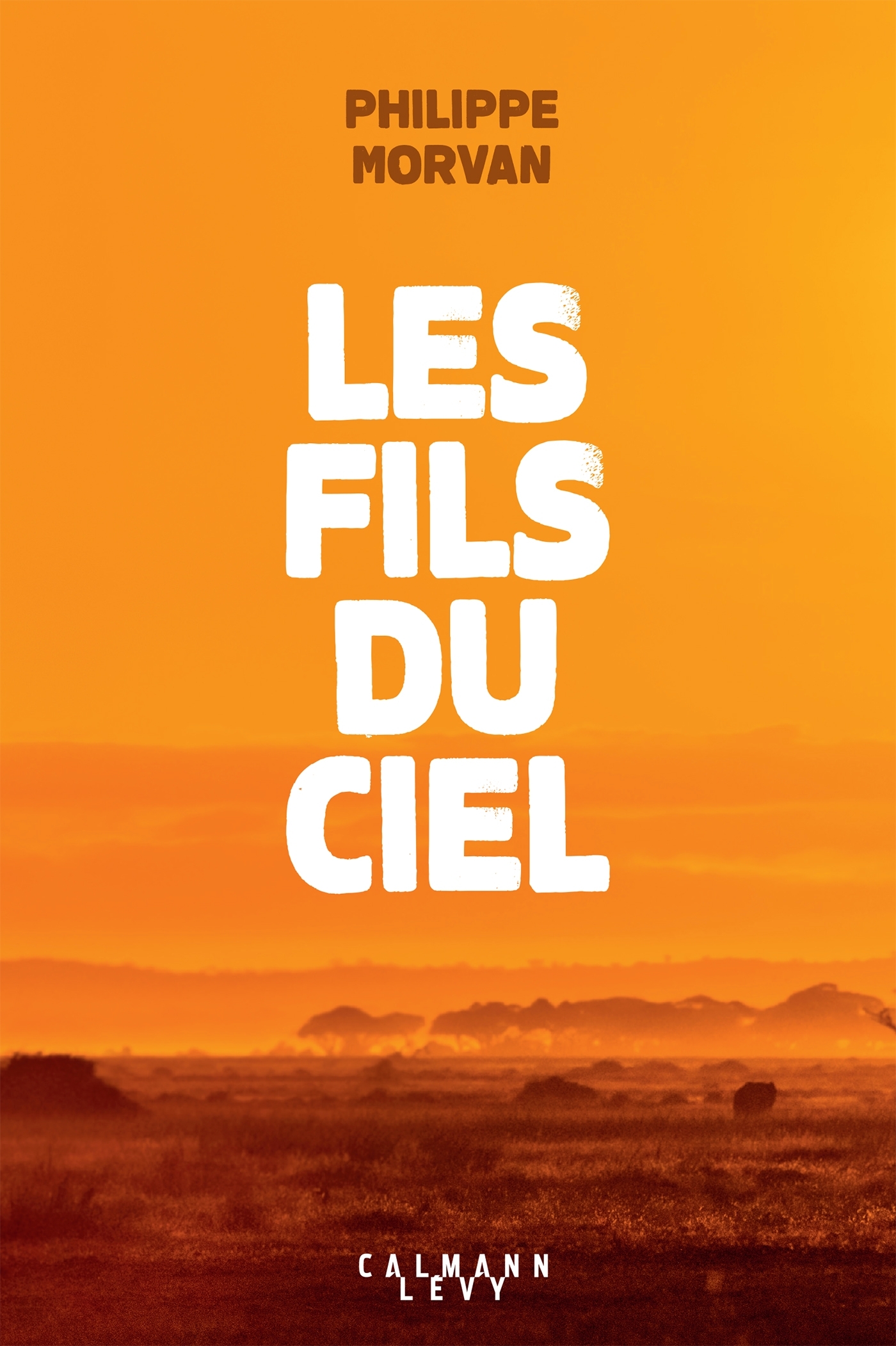 Les fils du ciel (9782702167427-front-cover)