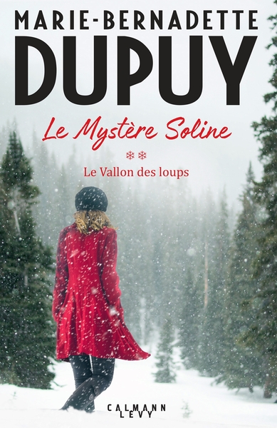 Le Mystère Soline, T2 - Le vallon des loups (9782702168820-front-cover)