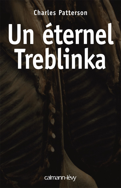 Un éternel Treblinka (9782702138458-front-cover)