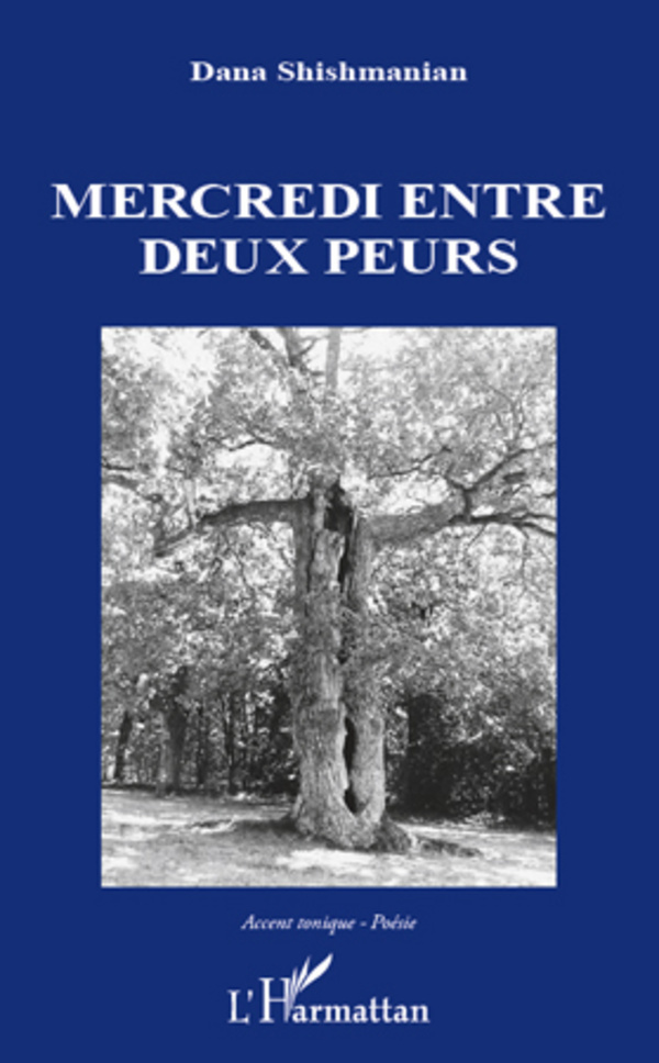 Mercredi entre deux peurs (9782296562790-front-cover)