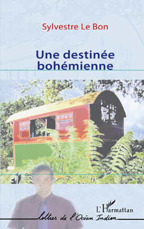 UNE DESTINEE BOHEMIENNE (9782296552067-front-cover)