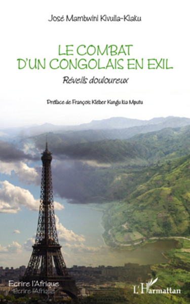 Le combat d'un congolais en exil, Réveils douloureux (9782296564336-front-cover)