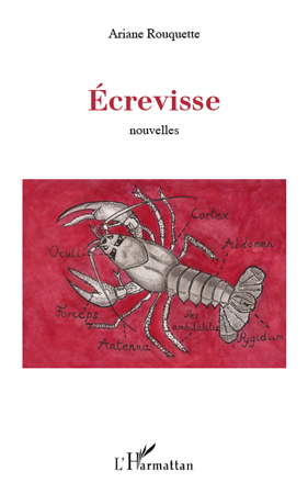 ECREVISSE   NOUVELLES (9782296552203-front-cover)