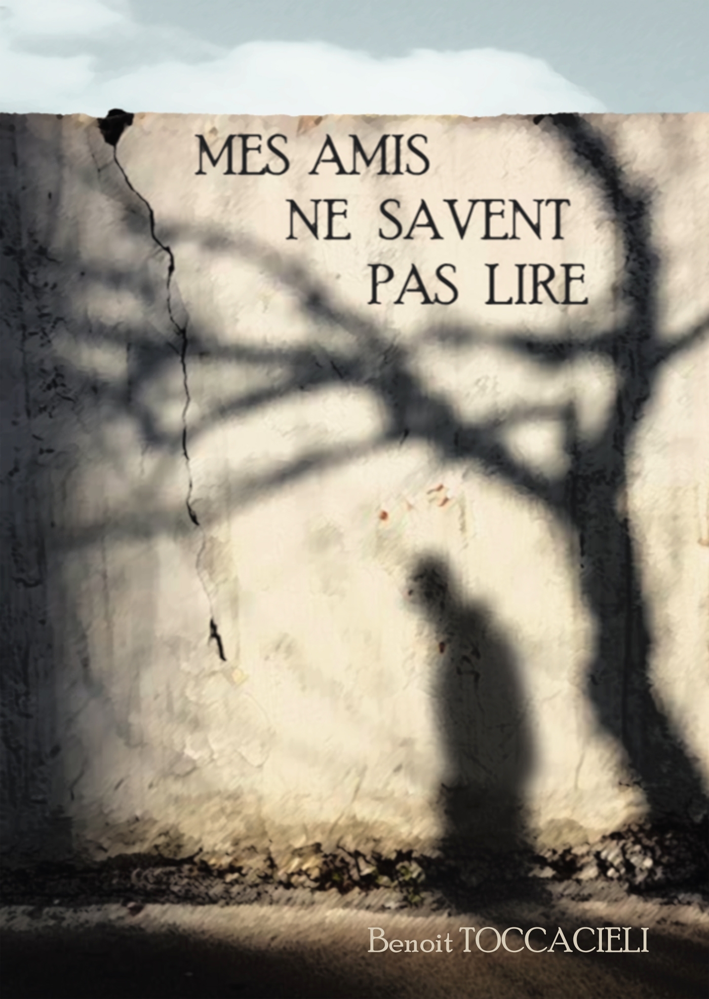 Mes amis ne savent pas lire (9791035901004-front-cover)