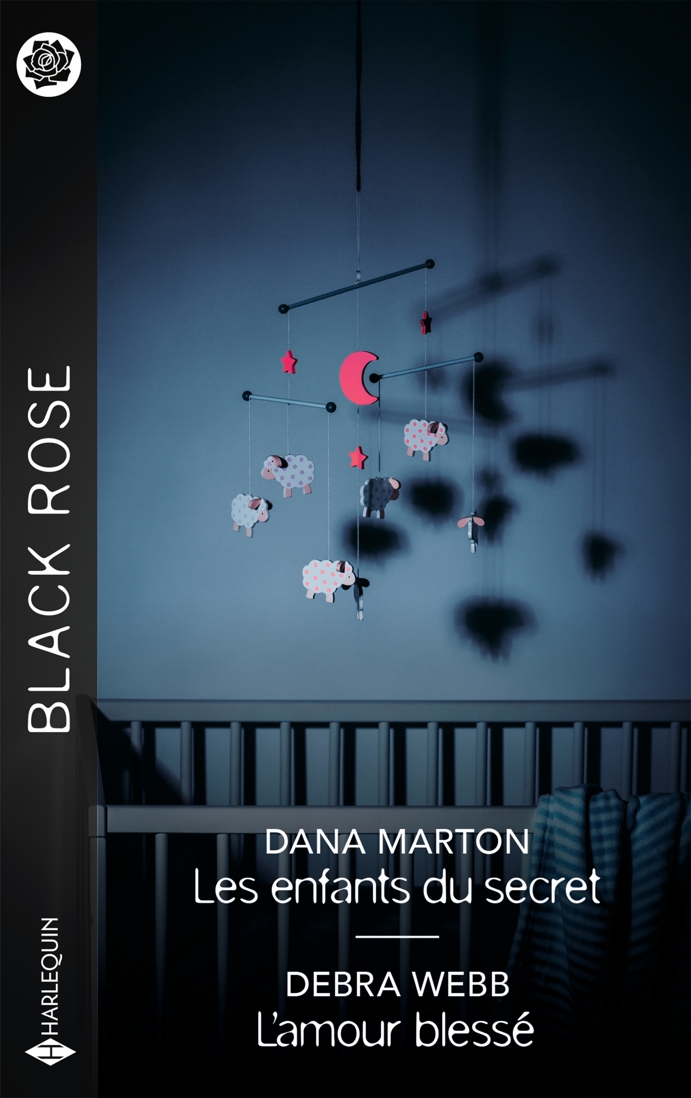 Les enfants du secret - L'amour blessé (9782280505444-front-cover)