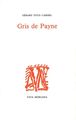 Gris de Payne (9782851941039-front-cover)