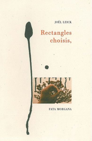Rectangles choisis (9782851945570-front-cover)