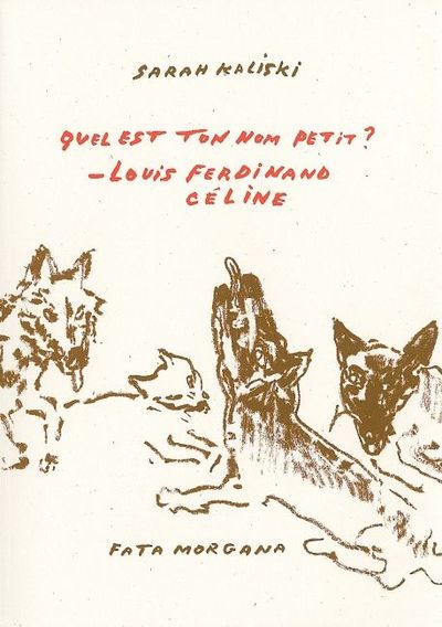 Quel est ton nom petit ? Louis-Ferdinand Céline (9782851946553-front-cover)